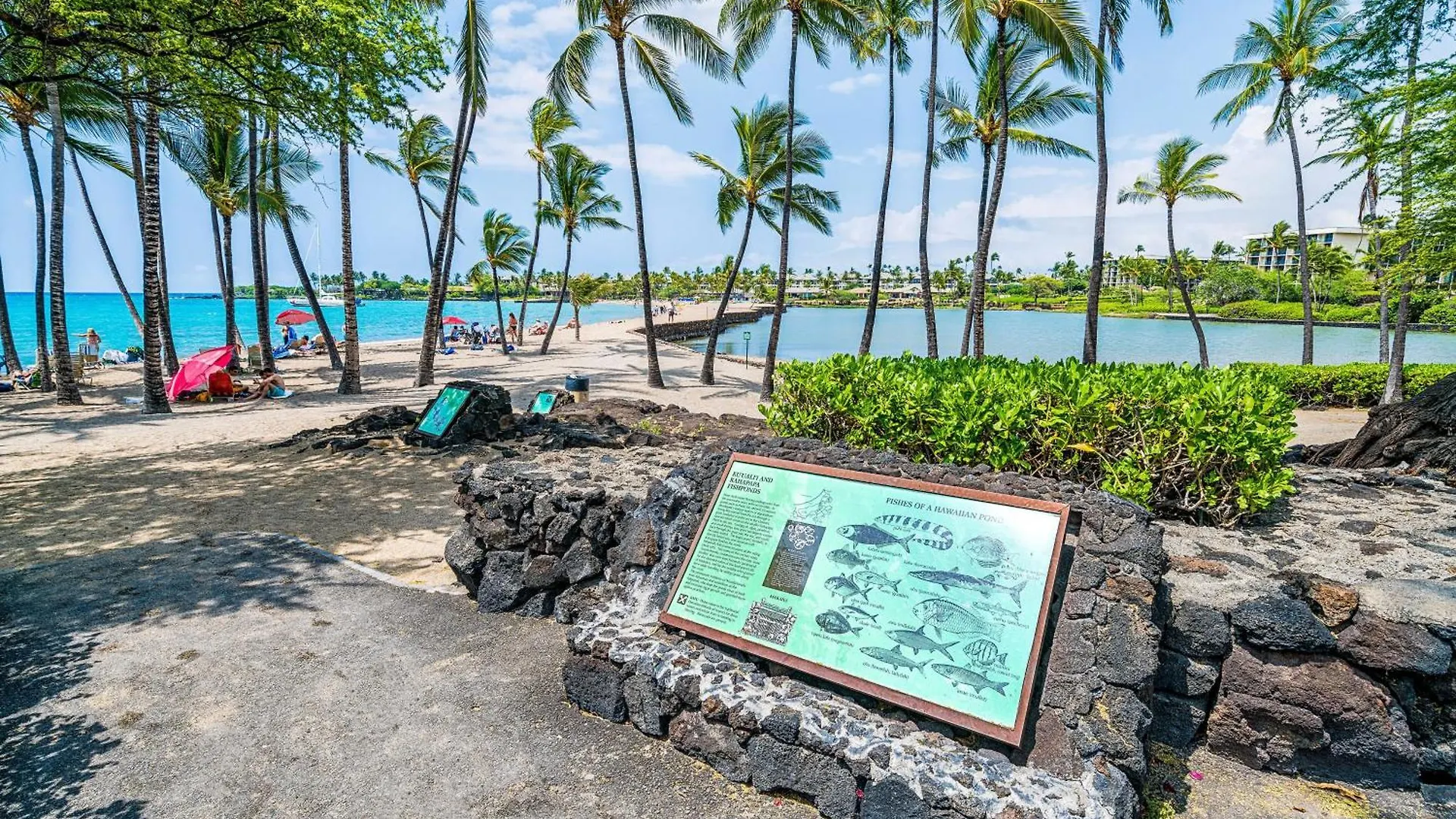Ainamalu 11 - My Favorite Island In The Sun Villa Waikoloa Vakantiehuis